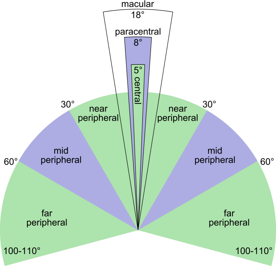 Угол зрения равен. Центральное и периферическое зрение поле зрения. Поле зрения глаза человека. Угол периферического зрения у человека. Периферийное зрение человека.